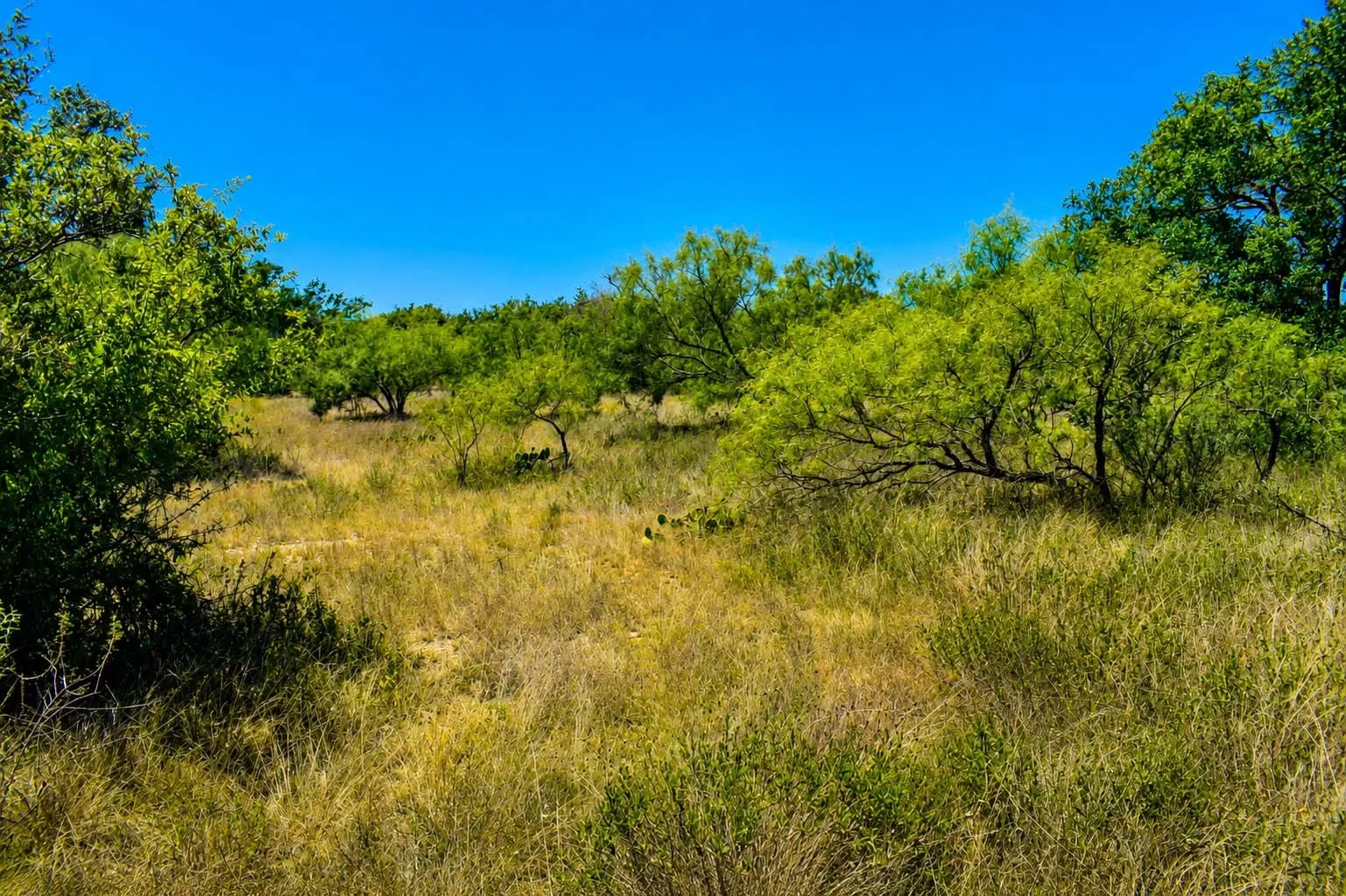 Ranch For Sale in Menard County , 129 Big Buck Run Road, No City, Texas 76841, 0, 0, Garage spaces, 0 Sqft, built in 0, mls#21366552, Real Estate Agent in No City, Homes For Sale in Menard county, Homes For Sale in No City, Realtor in No City Texas, Real Estate Brokerage Independent Realty Texas, Luminita Cordes Realtor