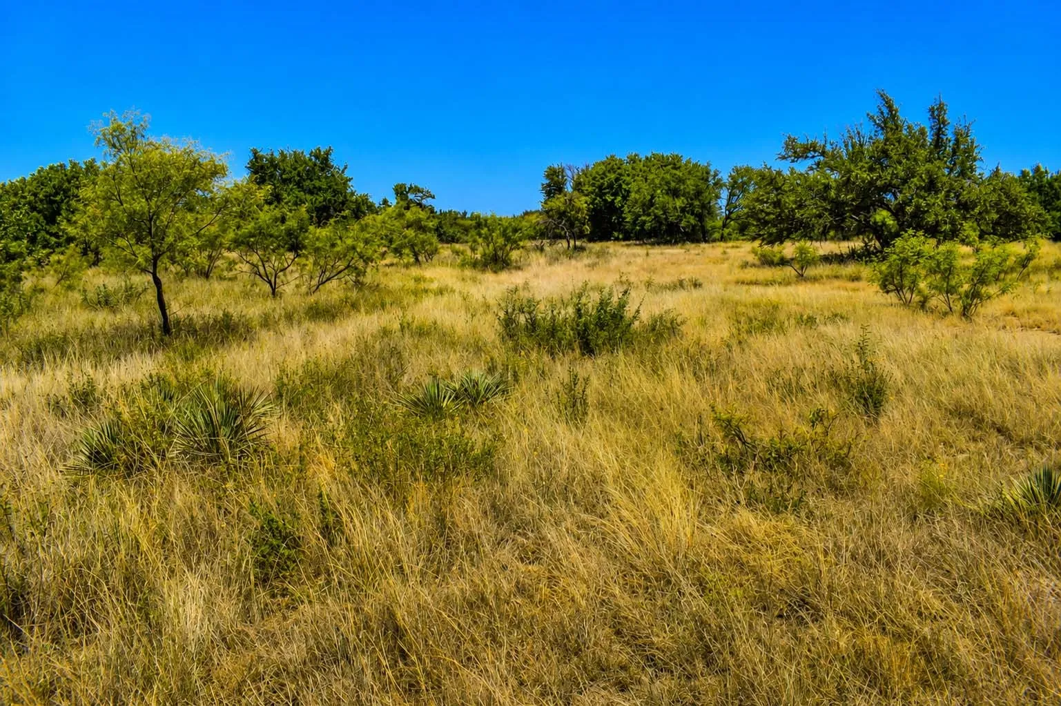 Ranch For Sale in Menard County , 129 Big Buck Run Road, No City, Texas 76841, 0, 0, Garage spaces, 0 Sqft, built in 0, mls#21366552, Real Estate Agent in No City, Homes For Sale in Menard county, Homes For Sale in No City, Realtor in No City Texas, Real Estate Brokerage Independent Realty Texas, Luminita Cordes Realtor
