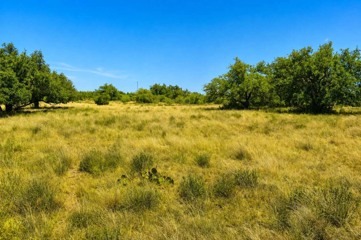 Ranch For Sale in Menard County , 129 Big Buck Run Road, No City, Texas 76841, 0, 0, Garage spaces, 0 Sqft, built in 0, mls#21366552, Real Estate Agent in No City, Homes For Sale in Menard county, Homes For Sale in No City, Realtor in No City Texas, Real Estate Brokerage Independent Realty Texas, Luminita Cordes Realtor