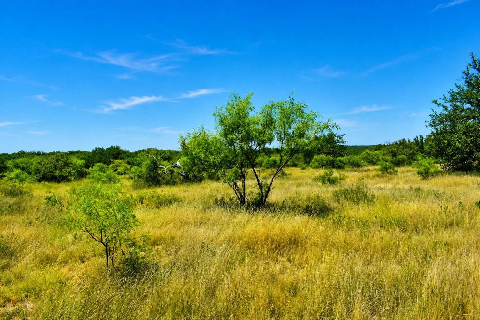 Ranch For Sale in Menard County , 129 Big Buck Run Road, No City, Texas 76841, 0, 0, Garage spaces, 0 Sqft, built in 0, mls#21366552, Real Estate Agent in No City, Homes For Sale in Menard county, Homes For Sale in No City, Realtor in No City Texas, Real Estate Brokerage Independent Realty Texas, Luminita Cordes Realtor