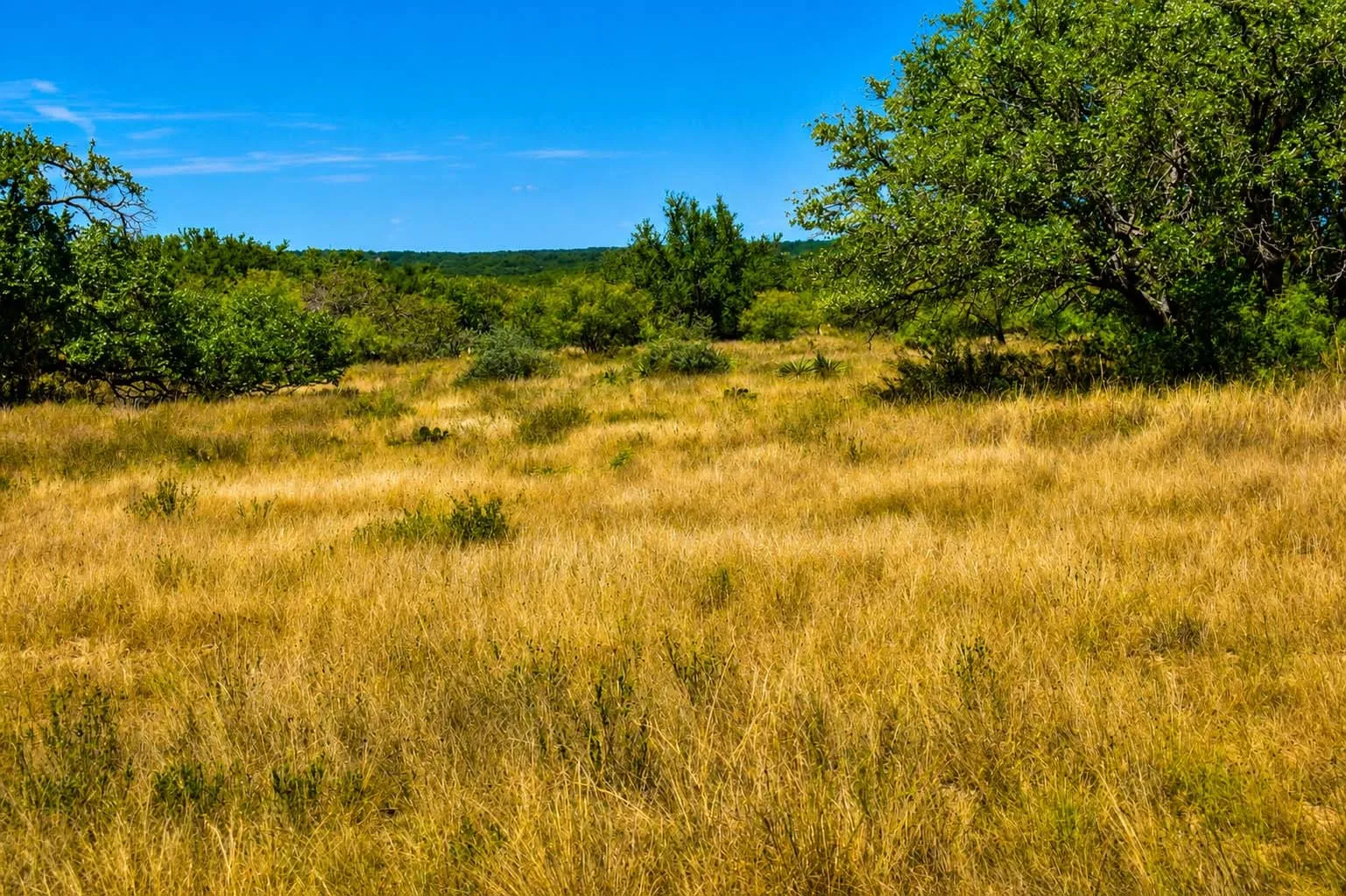 Ranch For Sale in Menard County , 129 Big Buck Run Road, No City, Texas 76841, 0, 0, Garage spaces, 0 Sqft, built in 0, mls#21366552, Real Estate Agent in No City, Homes For Sale in Menard county, Homes For Sale in No City, Realtor in No City Texas, Real Estate Brokerage Independent Realty Texas, Luminita Cordes Realtor