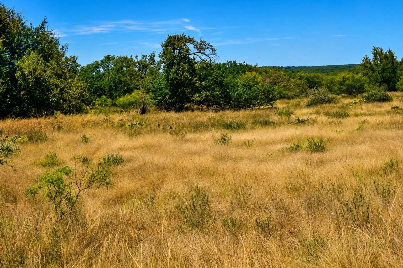 Ranch For Sale in Menard County , 129 Big Buck Run Road, No City, Texas 76841, 0, 0, Garage spaces, 0 Sqft, built in 0, mls#21366552, Real Estate Agent in No City, Homes For Sale in Menard county, Homes For Sale in No City, Realtor in No City Texas, Real Estate Brokerage Independent Realty Texas, Luminita Cordes Realtor