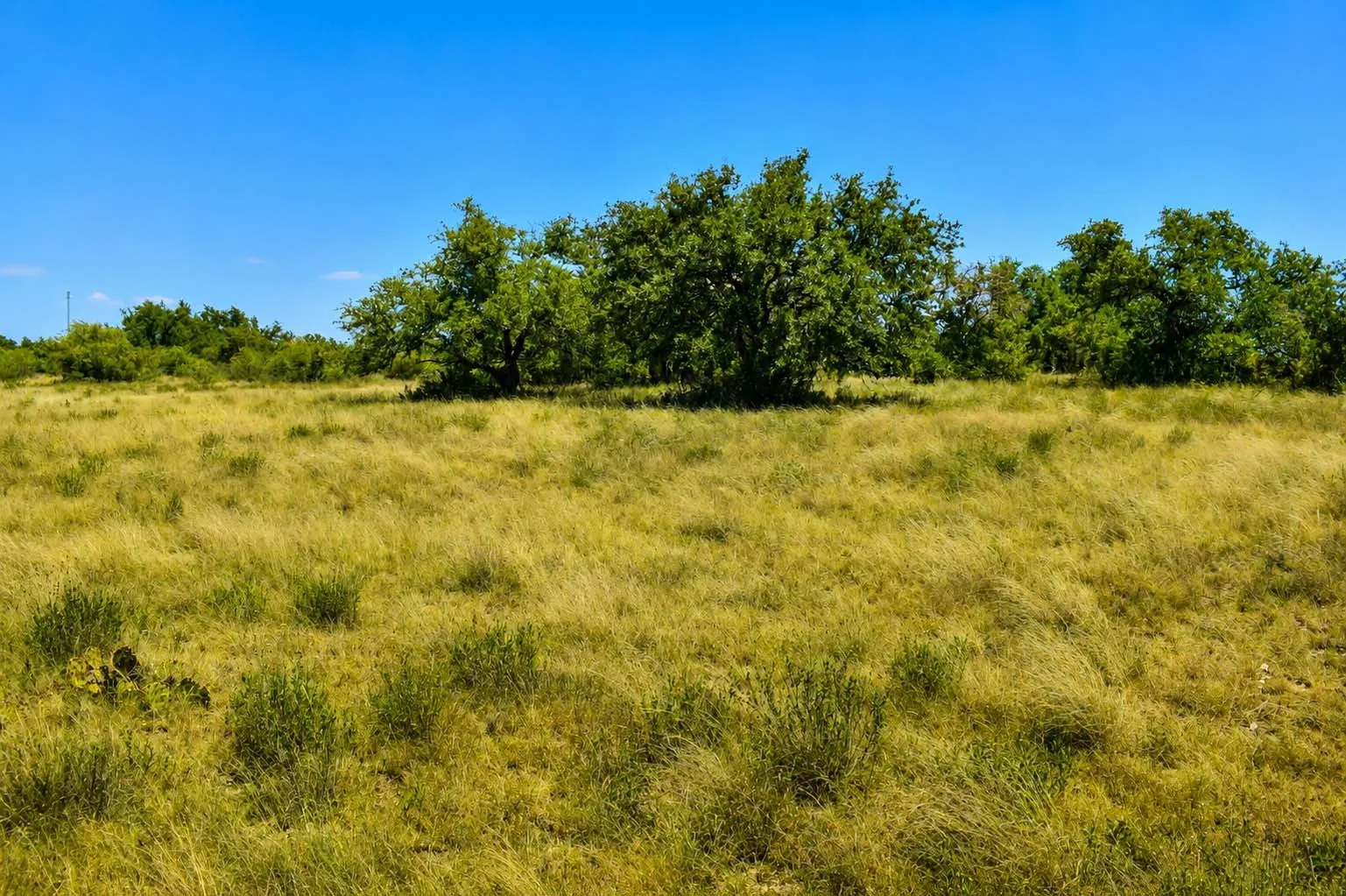 Ranch For Sale in Menard County , 129 Big Buck Run Road, No City, Texas 76841, 0, 0, Garage spaces, 0 Sqft, built in 0, mls#21366552, Real Estate Agent in No City, Homes For Sale in Menard county, Homes For Sale in No City, Realtor in No City Texas, Real Estate Brokerage Independent Realty Texas, Luminita Cordes Realtor