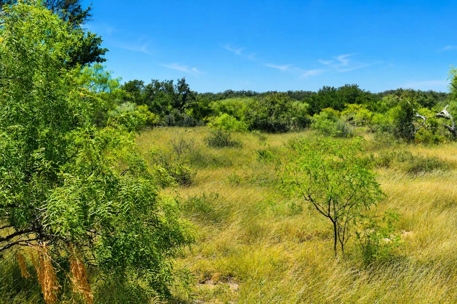 Ranch For Sale in Menard County , 129 Big Buck Run Road, No City, Texas 76841, 0, 0, Garage spaces, 0 Sqft, built in 0, mls#21366552, Real Estate Agent in No City, Homes For Sale in Menard county, Homes For Sale in No City, Realtor in No City Texas, Real Estate Brokerage Independent Realty Texas, Luminita Cordes Realtor