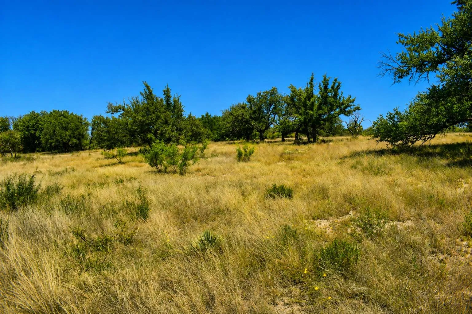 Ranch For Sale in Menard County , 129 Big Buck Run Road, No City, Texas 76841, 0, 0, Garage spaces, 0 Sqft, built in 0, mls#21366552, Real Estate Agent in No City, Homes For Sale in Menard county, Homes For Sale in No City, Realtor in No City Texas, Real Estate Brokerage Independent Realty Texas, Luminita Cordes Realtor