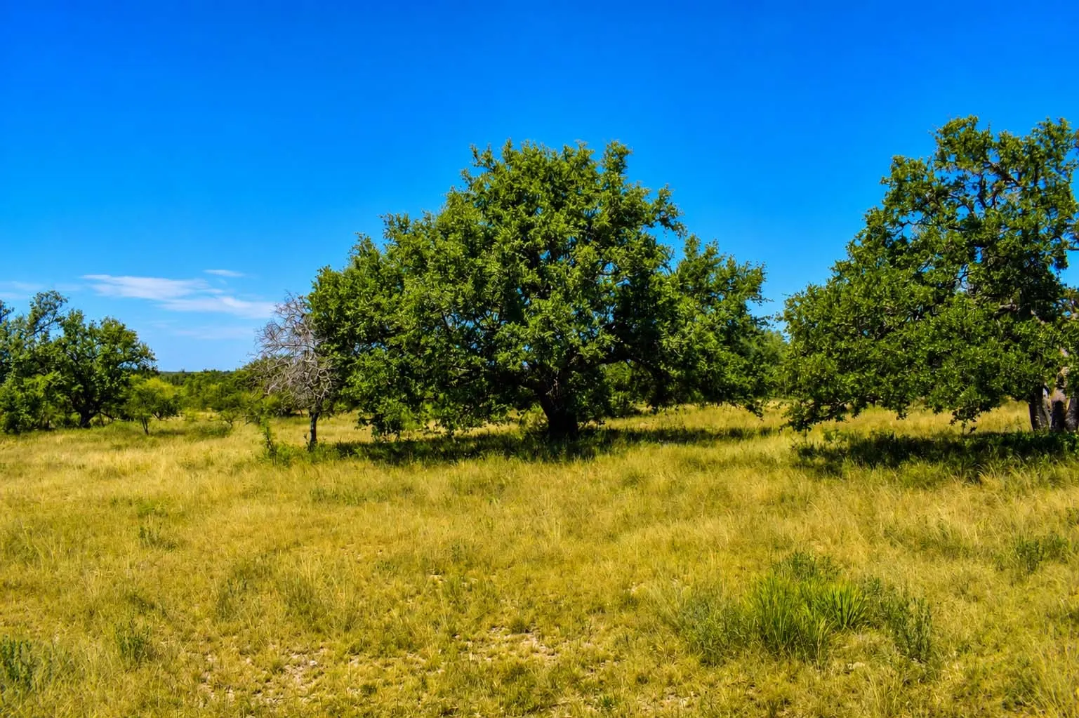 Ranch For Sale in Menard County , 129 Big Buck Run Road, No City, Texas 76841, 0, 0, Garage spaces, 0 Sqft, built in 0, mls#21366552, Real Estate Agent in No City, Homes For Sale in Menard county, Homes For Sale in No City, Realtor in No City Texas, Real Estate Brokerage Independent Realty Texas, Luminita Cordes Realtor