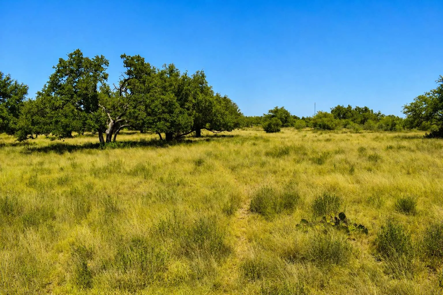 Ranch For Sale in Menard County , 129 Big Buck Run Road, No City, Texas 76841, 0, 0, Garage spaces, 0 Sqft, built in 0, mls#21366552, Real Estate Agent in No City, Homes For Sale in Menard county, Homes For Sale in No City, Realtor in No City Texas, Real Estate Brokerage Independent Realty Texas, Luminita Cordes Realtor