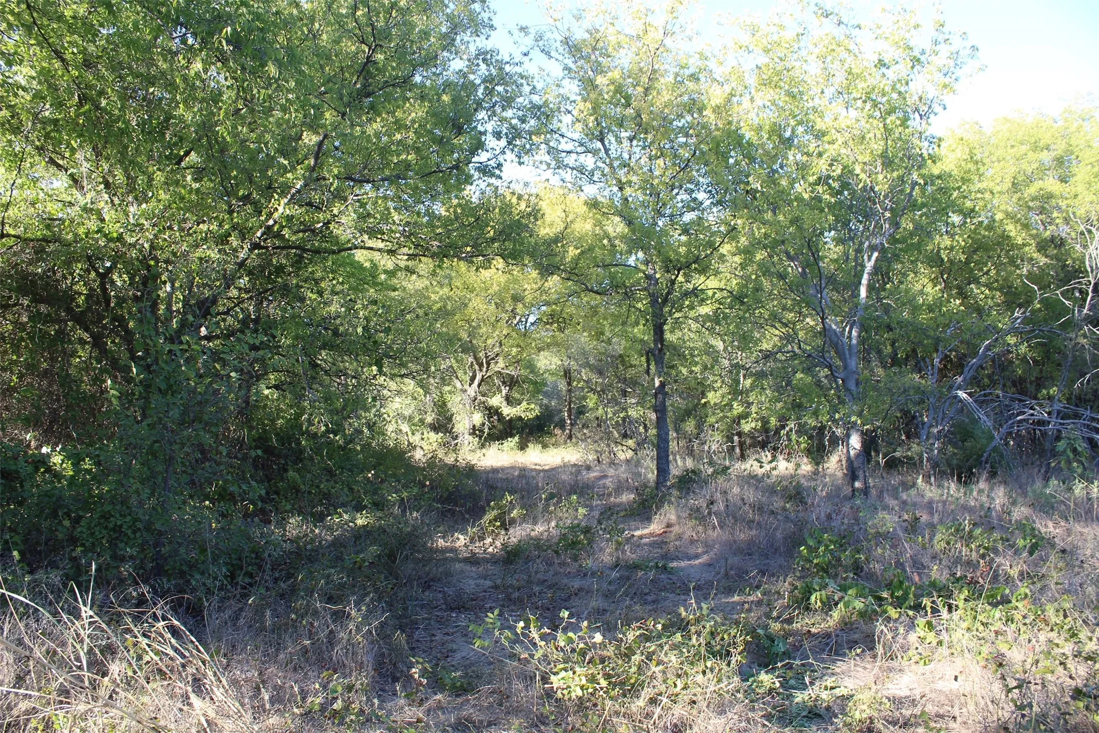 Unimproved Land For Sale in Montague County , 000 Eureka School Road, Nocona, Texas 76255, 0, 0, Garage spaces, 0 Sqft, built in 0, mls#21341545, Real Estate Agent in Nocona, Homes For Sale in Montague county, Homes For Sale in Nocona, Realtor in Nocona Texas, Real Estate Brokerage Independent Realty Texas, Luminita Cordes Realtor