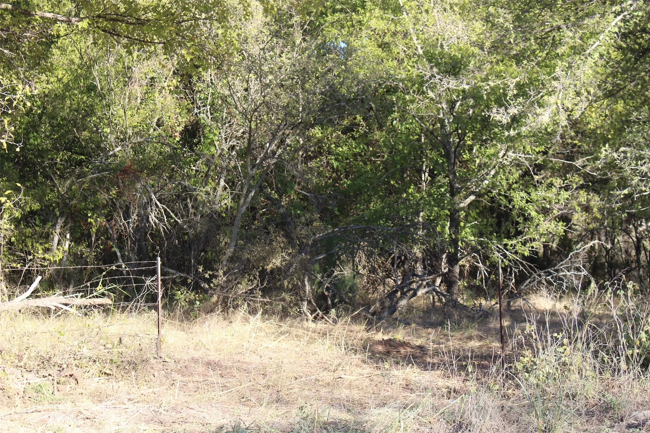 Unimproved Land For Sale in Montague County , 000 Eureka School Road, Nocona, Texas 76255, 0, 0, Garage spaces, 0 Sqft, built in 0, mls#21341545, Real Estate Agent in Nocona, Homes For Sale in Montague county, Homes For Sale in Nocona, Realtor in Nocona Texas, Real Estate Brokerage Independent Realty Texas, Luminita Cordes Realtor