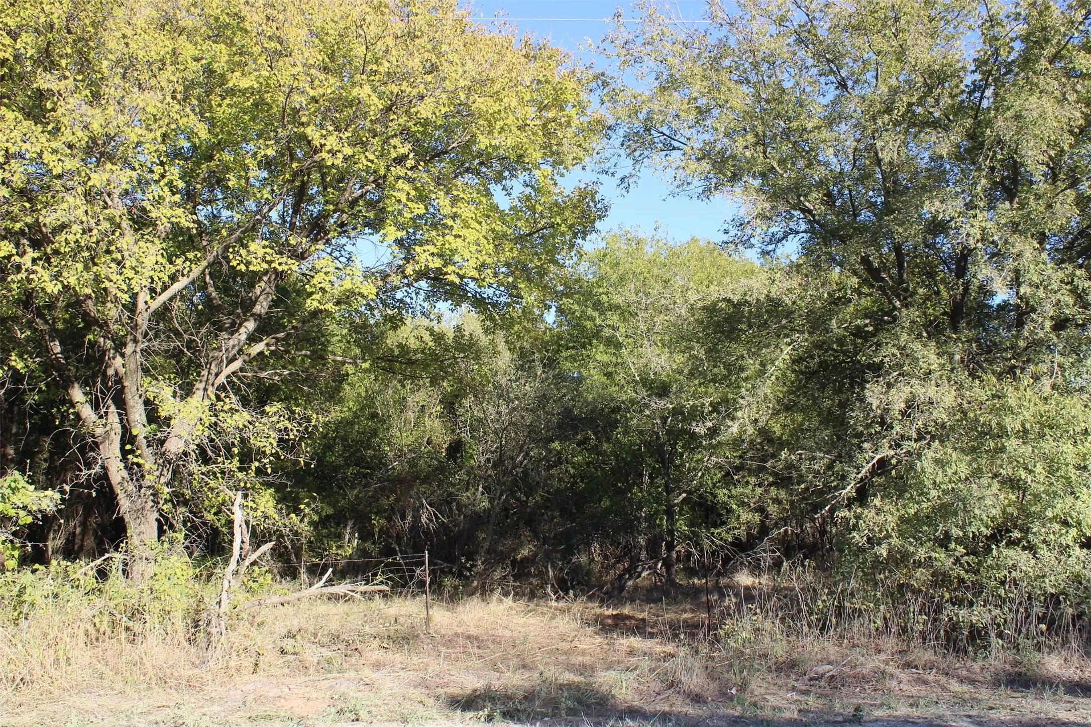 Unimproved Land For Sale in Montague County , 000 Eureka School Road, Nocona, Texas 76255, 0, 0, Garage spaces, 0 Sqft, built in 0, mls#21341545, Real Estate Agent in Nocona, Homes For Sale in Montague county, Homes For Sale in Nocona, Realtor in Nocona Texas, Real Estate Brokerage Independent Realty Texas, Luminita Cordes Realtor