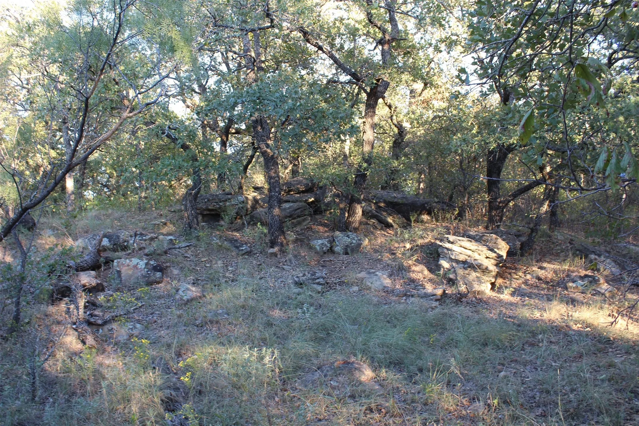 Unimproved Land For Sale in Montague County , 000 Eureka School Road, Nocona, Texas 76255, 0, 0, Garage spaces, 0 Sqft, built in 0, mls#21341545, Real Estate Agent in Nocona, Homes For Sale in Montague county, Homes For Sale in Nocona, Realtor in Nocona Texas, Real Estate Brokerage Independent Realty Texas, Luminita Cordes Realtor