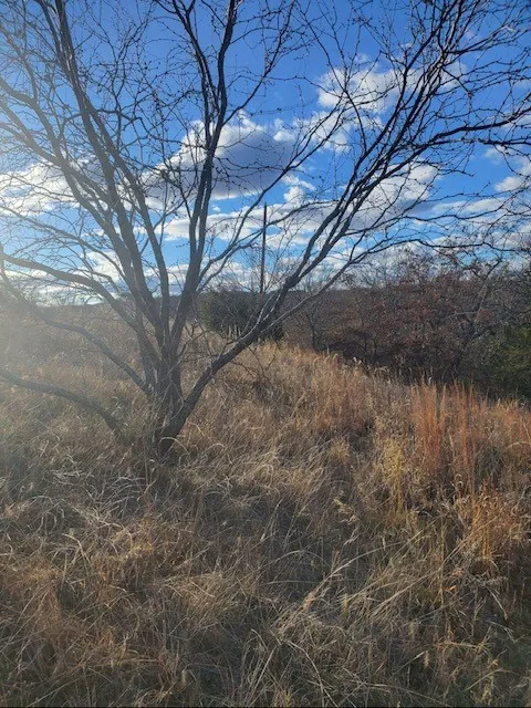 Unimproved Land For Sale in Montague County , 000 Eureka School Road, Nocona, Texas 76255, 0, 0, Garage spaces, 0 Sqft, built in 0, mls#21341545, Real Estate Agent in Nocona, Homes For Sale in Montague county, Homes For Sale in Nocona, Realtor in Nocona Texas, Real Estate Brokerage Independent Realty Texas, Luminita Cordes Realtor