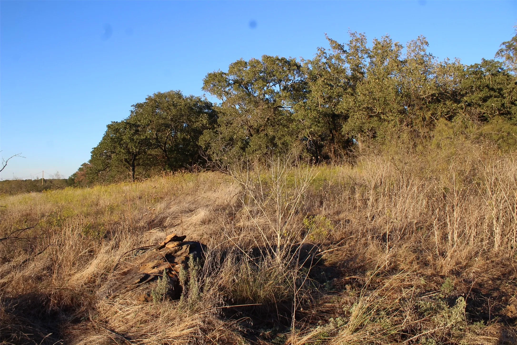 Unimproved Land For Sale in Montague County , 000 Eureka School Road, Nocona, Texas 76255, 0, 0, Garage spaces, 0 Sqft, built in 0, mls#21341545, Real Estate Agent in Nocona, Homes For Sale in Montague county, Homes For Sale in Nocona, Realtor in Nocona Texas, Real Estate Brokerage Independent Realty Texas, Luminita Cordes Realtor