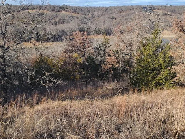 Unimproved Land For Sale in Montague County , 000 Eureka School Road, Nocona, Texas 76255, 0, 0, Garage spaces, 0 Sqft, built in 0, mls#21341545, Real Estate Agent in Nocona, Homes For Sale in Montague county, Homes For Sale in Nocona, Realtor in Nocona Texas, Real Estate Brokerage Independent Realty Texas, Luminita Cordes Realtor