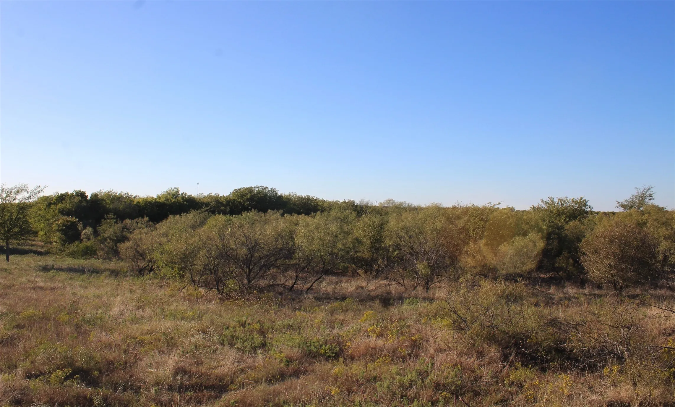 Unimproved Land For Sale in Montague County , 000 Eureka School Road, Nocona, Texas 76255, 0, 0, Garage spaces, 0 Sqft, built in 0, mls#21341545, Real Estate Agent in Nocona, Homes For Sale in Montague county, Homes For Sale in Nocona, Realtor in Nocona Texas, Real Estate Brokerage Independent Realty Texas, Luminita Cordes Realtor