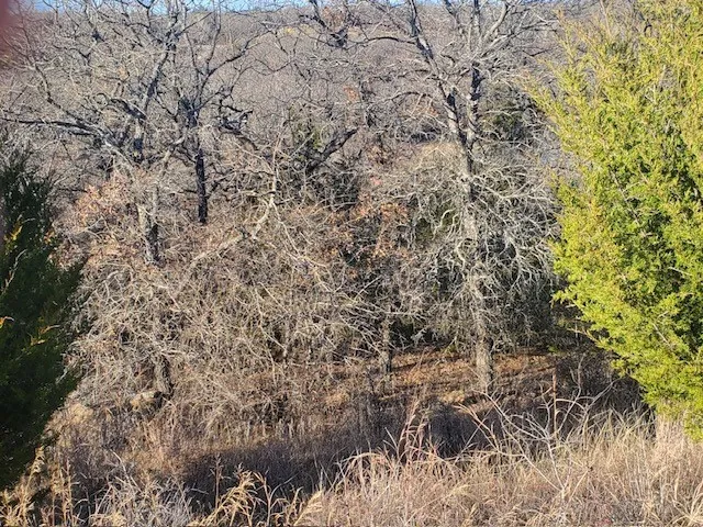 Unimproved Land For Sale in Montague County , 000 Eureka School Road, Nocona, Texas 76255, 0, 0, Garage spaces, 0 Sqft, built in 0, mls#21341545, Real Estate Agent in Nocona, Homes For Sale in Montague county, Homes For Sale in Nocona, Realtor in Nocona Texas, Real Estate Brokerage Independent Realty Texas, Luminita Cordes Realtor