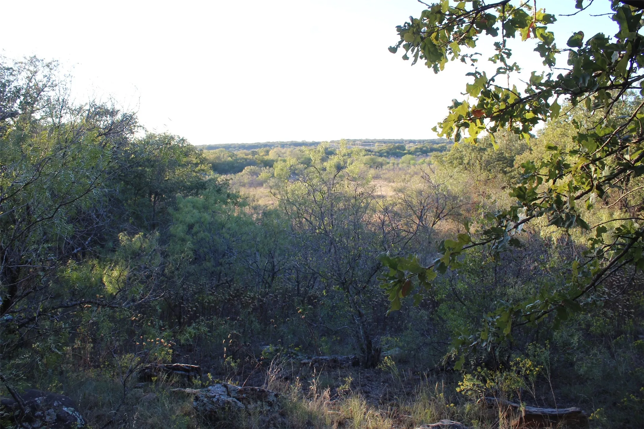 Unimproved Land For Sale in Montague County , 000 Eureka School Road, Nocona, Texas 76255, 0, 0, Garage spaces, 0 Sqft, built in 0, mls#21341545, Real Estate Agent in Nocona, Homes For Sale in Montague county, Homes For Sale in Nocona, Realtor in Nocona Texas, Real Estate Brokerage Independent Realty Texas, Luminita Cordes Realtor