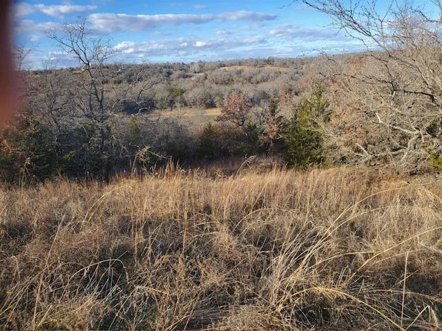 Unimproved Land For Sale in Montague County , 000 Eureka School Road, Nocona, Texas 76255, 0, 0, Garage spaces, 0 Sqft, built in 0, mls#21341545, Real Estate Agent in Nocona, Homes For Sale in Montague county, Homes For Sale in Nocona, Realtor in Nocona Texas, Real Estate Brokerage Independent Realty Texas, Luminita Cordes Realtor