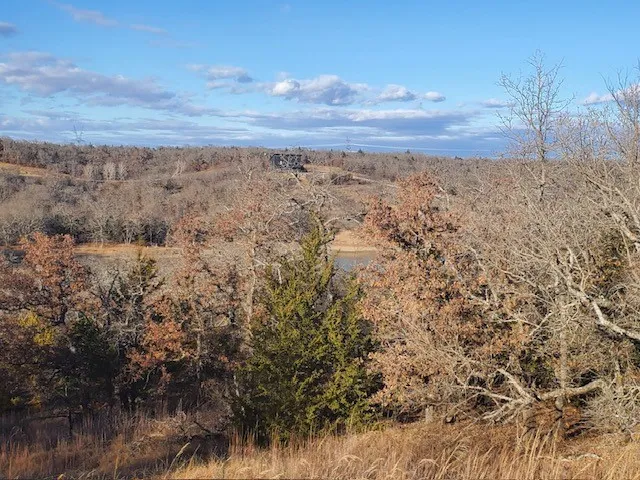 Unimproved Land For Sale in Montague County , 000 Eureka School Road, Nocona, Texas 76255, 0, 0, Garage spaces, 0 Sqft, built in 0, mls#21341545, Real Estate Agent in Nocona, Homes For Sale in Montague county, Homes For Sale in Nocona, Realtor in Nocona Texas, Real Estate Brokerage Independent Realty Texas, Luminita Cordes Realtor