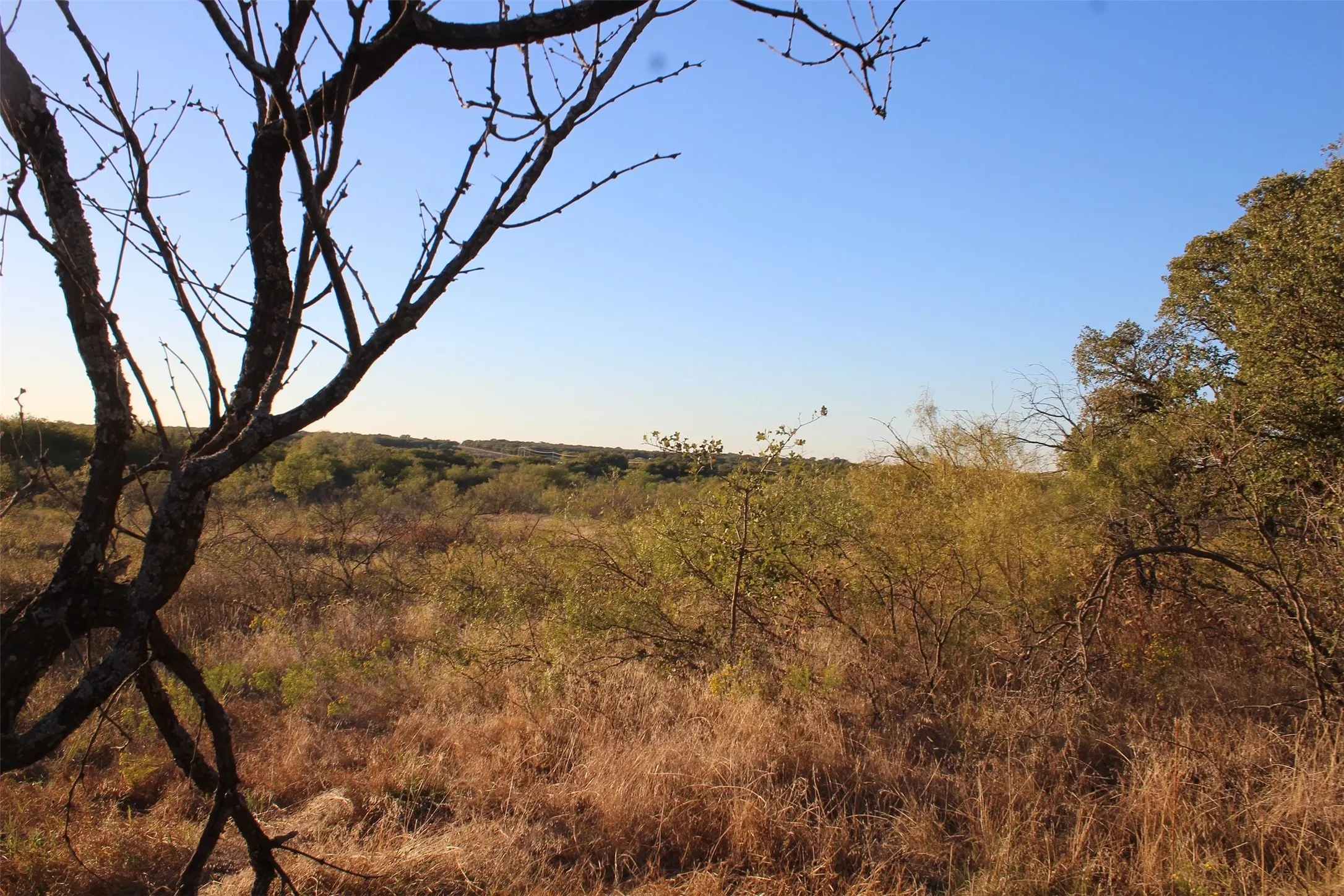 Unimproved Land For Sale in Montague County , 000 Eureka School Road, Nocona, Texas 76255, 0, 0, Garage spaces, 0 Sqft, built in 0, mls#21341545, Real Estate Agent in Nocona, Homes For Sale in Montague county, Homes For Sale in Nocona, Realtor in Nocona Texas, Real Estate Brokerage Independent Realty Texas, Luminita Cordes Realtor