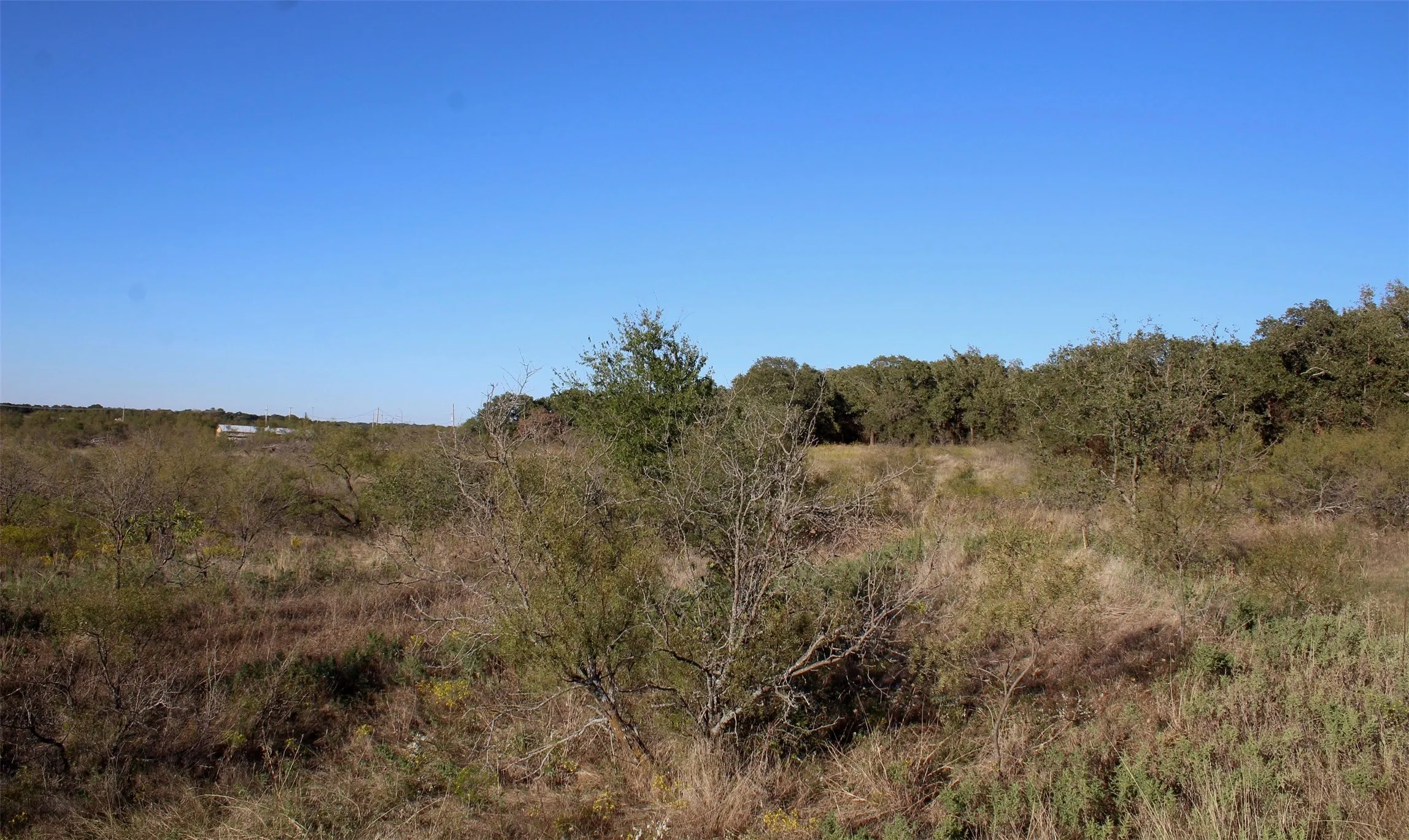 Unimproved Land For Sale in Montague County , 000 Eureka School Road, Nocona, Texas 76255, 0, 0, Garage spaces, 0 Sqft, built in 0, mls#21341545, Real Estate Agent in Nocona, Homes For Sale in Montague county, Homes For Sale in Nocona, Realtor in Nocona Texas, Real Estate Brokerage Independent Realty Texas, Luminita Cordes Realtor