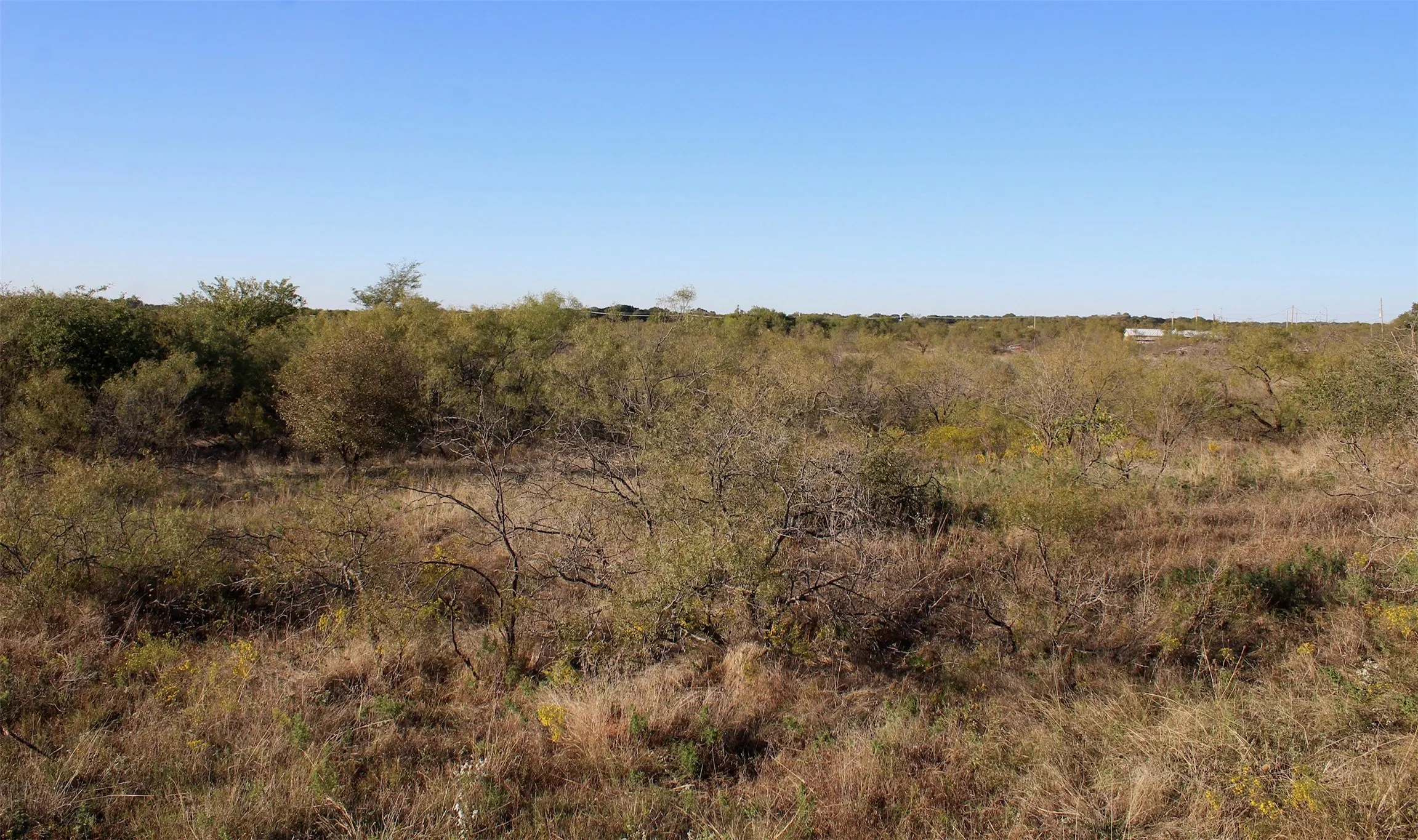 Unimproved Land For Sale in Montague County , 000 Eureka School Road, Nocona, Texas 76255, 0, 0, Garage spaces, 0 Sqft, built in 0, mls#21341545, Real Estate Agent in Nocona, Homes For Sale in Montague county, Homes For Sale in Nocona, Realtor in Nocona Texas, Real Estate Brokerage Independent Realty Texas, Luminita Cordes Realtor