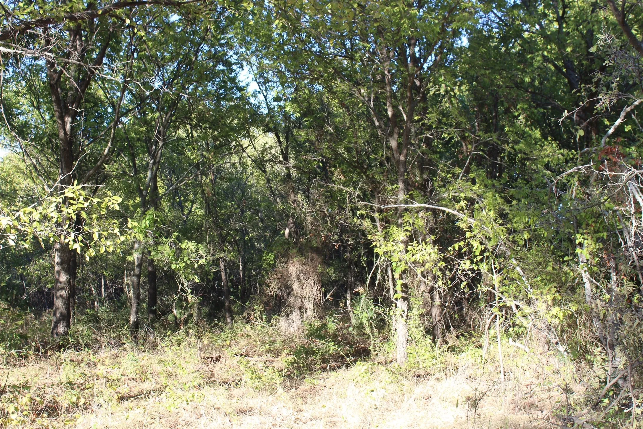 Unimproved Land For Sale in Montague County , 000 Eureka School Road, Nocona, Texas 76255, 0, 0, Garage spaces, 0 Sqft, built in 0, mls#21341545, Real Estate Agent in Nocona, Homes For Sale in Montague county, Homes For Sale in Nocona, Realtor in Nocona Texas, Real Estate Brokerage Independent Realty Texas, Luminita Cordes Realtor