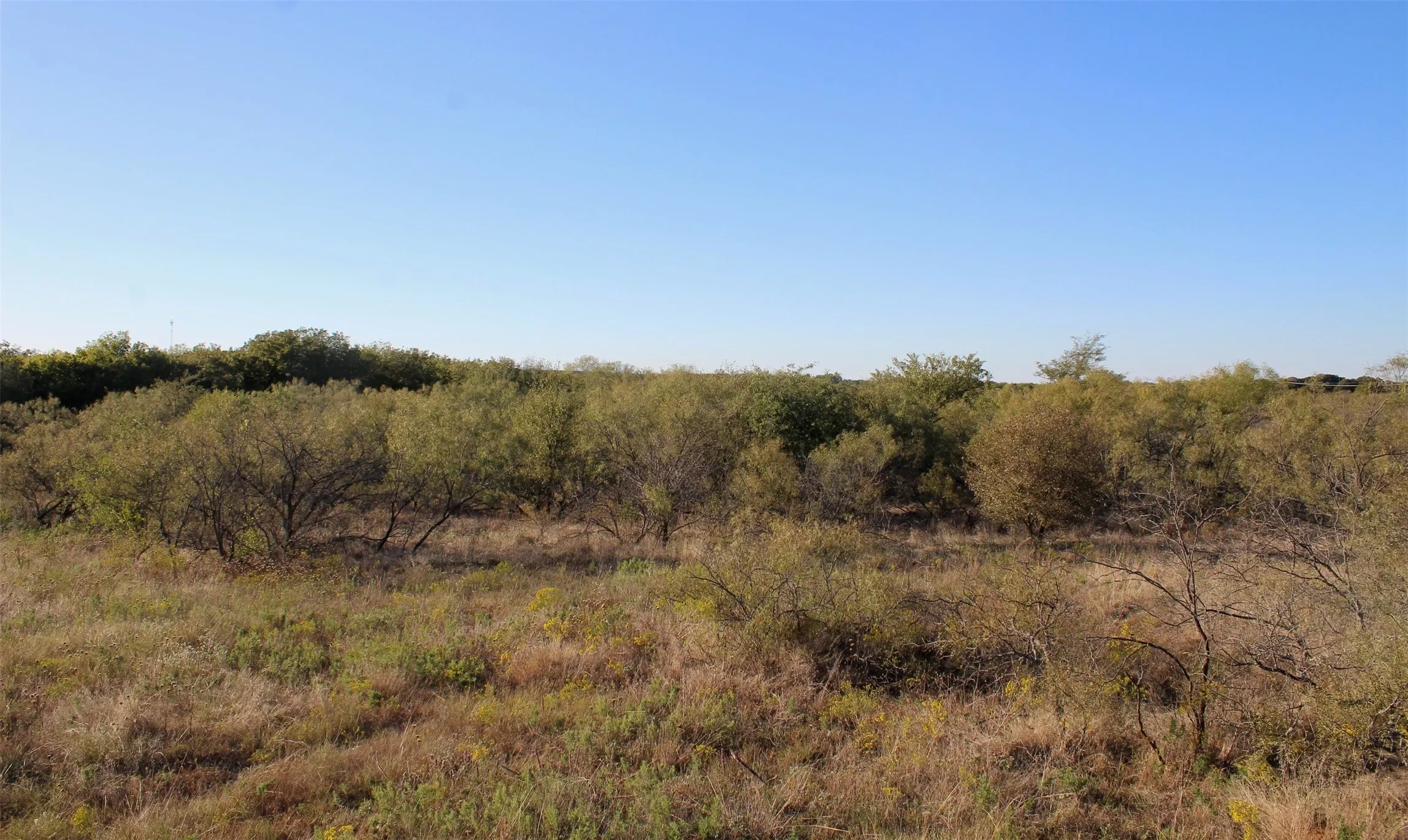 Unimproved Land For Sale in Montague County , 000 Eureka School Road, Nocona, Texas 76255, 0, 0, Garage spaces, 0 Sqft, built in 0, mls#21341545, Real Estate Agent in Nocona, Homes For Sale in Montague county, Homes For Sale in Nocona, Realtor in Nocona Texas, Real Estate Brokerage Independent Realty Texas, Luminita Cordes Realtor