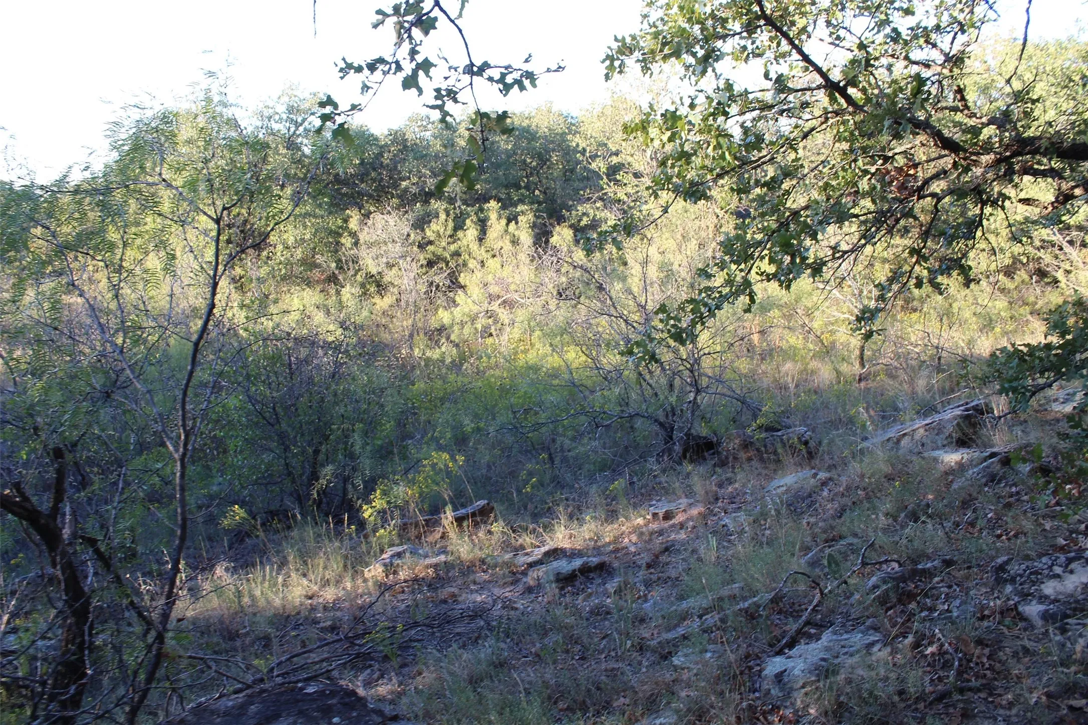 Unimproved Land For Sale in Montague County , 000 Eureka School Road, Nocona, Texas 76255, 0, 0, Garage spaces, 0 Sqft, built in 0, mls#21341545, Real Estate Agent in Nocona, Homes For Sale in Montague county, Homes For Sale in Nocona, Realtor in Nocona Texas, Real Estate Brokerage Independent Realty Texas, Luminita Cordes Realtor