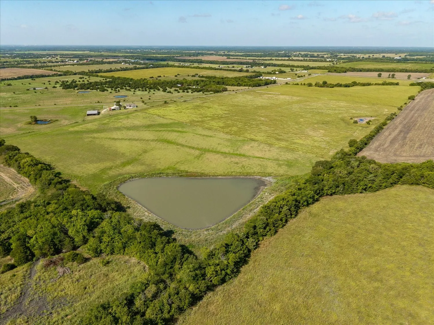 Unimproved Land For Sale in Hunt County , 92.75 ac Highway 34, Wolfe City, Texas 75496, 0, 0, Garage spaces, 0 Sqft, built in 0, Price $1,376,250, mls#21365488, Real Estate Agent in Wolfe City, Homes For Sale in Hunt county, Homes For Sale in Wolfe City, Realtor in Wolfe City Texas, Real Estate Brokerage Independent Realty Texas, Luminita Cordes Realtor