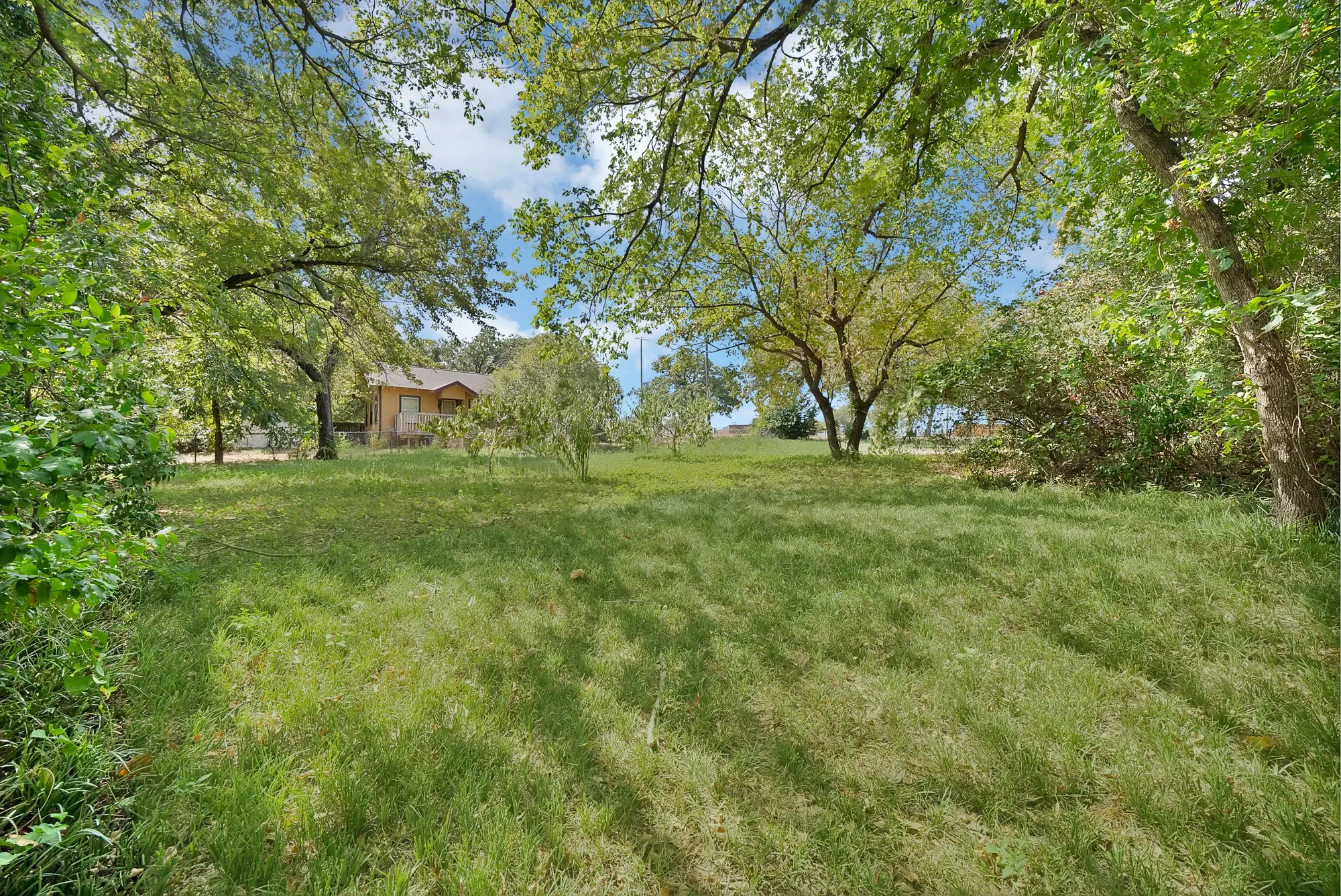 Expansive grassy area with mature trees and partial structure visibility