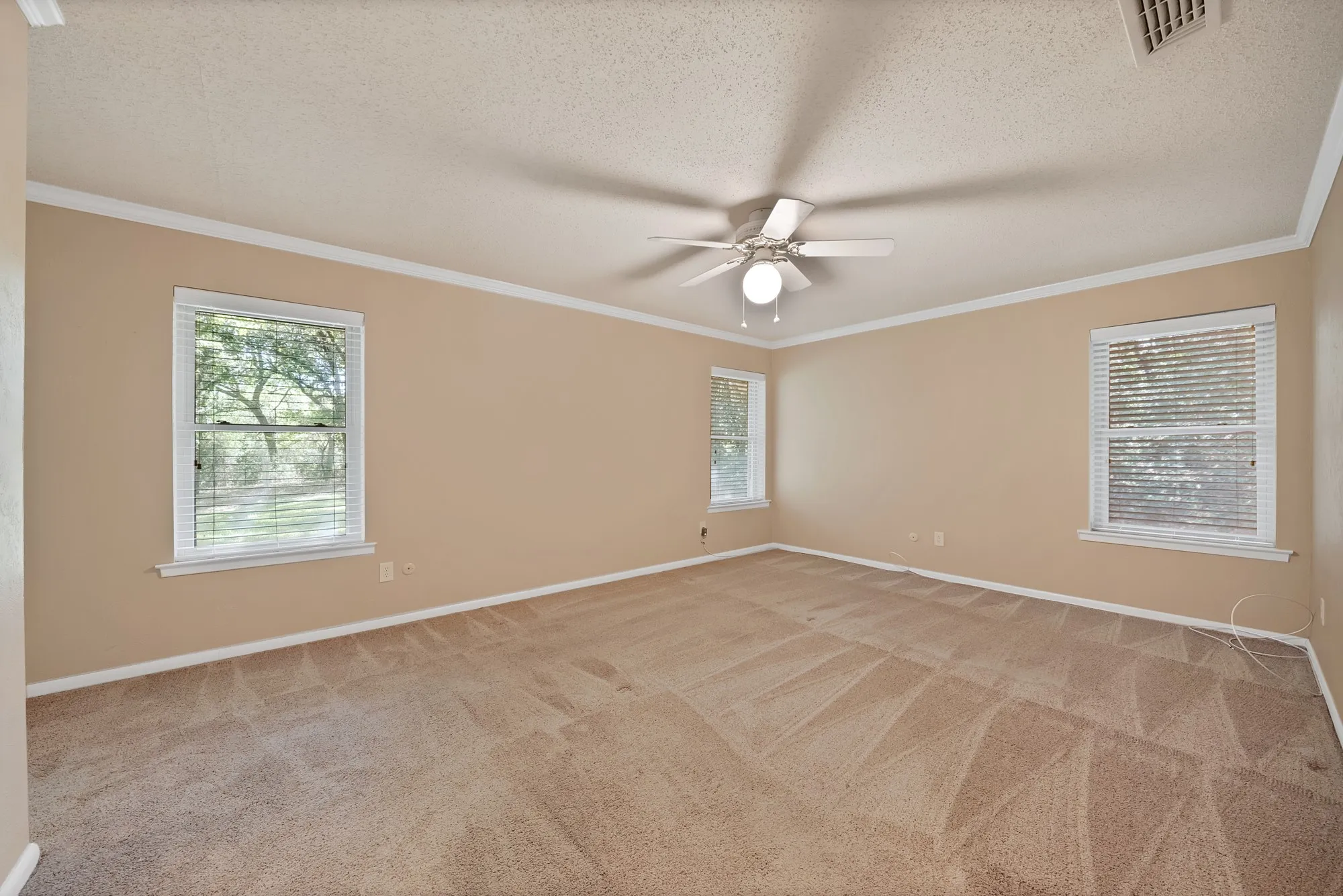 Spacious room featuring carpeted flooring, multiple windows, a ceiling fan, and crown molding