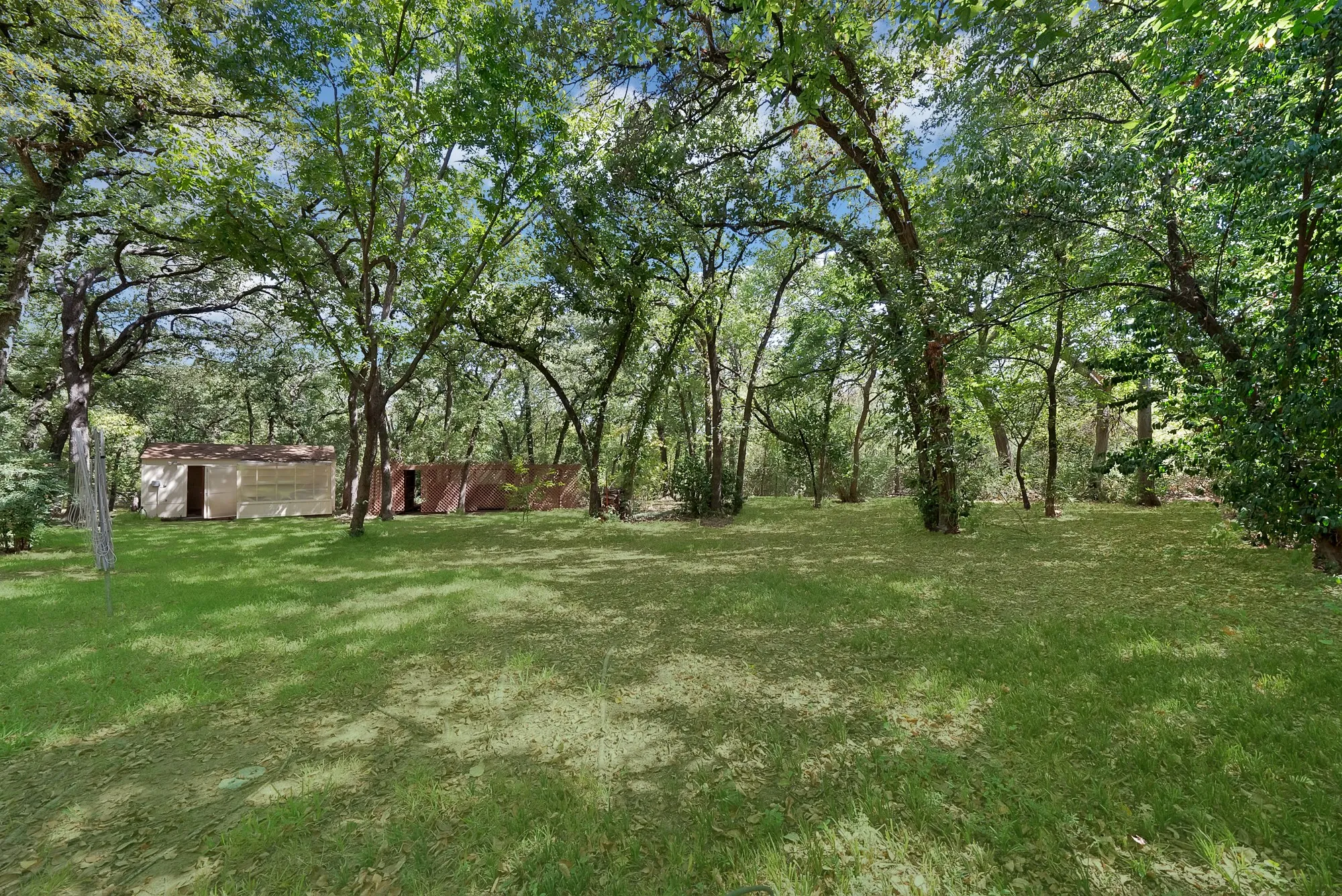 Expansive green space featuring mature trees and a utility structure