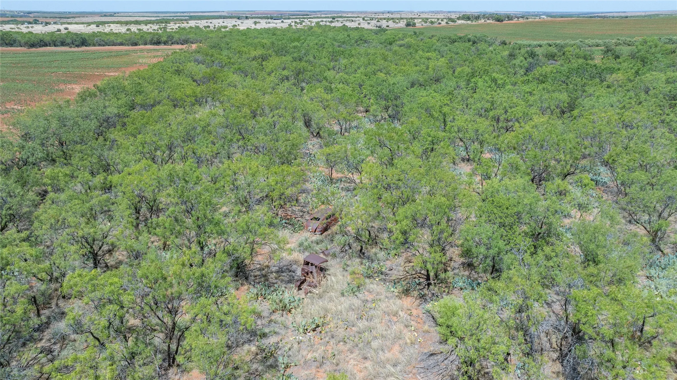 Single Family Residence For Sale in Nolan County , 136 County Road 428, Sweetwater, Texas 79556, 2 Bedroom, 1 Bathroom, 2 Garage spaces, 1,300 Sqft, built in 1945, mls#21366498, Real Estate Agent in Sweetwater, Homes For Sale in Nolan county, Homes For Sale in Sweetwater, Realtor in Sweetwater Texas, Real Estate Brokerage Independent Realty Texas, Luminita Cordes Realtor