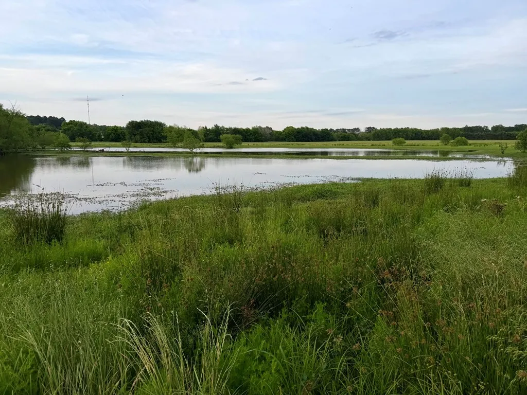 Unimproved Land For Sale in Henderson County , 42 Shore Crest Way, Athens, Texas 75752, 0, 0, Garage spaces, 0 Sqft, built in 0, mls#21366568, Real Estate Agent in Athens, Homes For Sale in Henderson county, Homes For Sale in Athens, Realtor in Athens Texas, Real Estate Brokerage Independent Realty Texas, Luminita Cordes Realtor