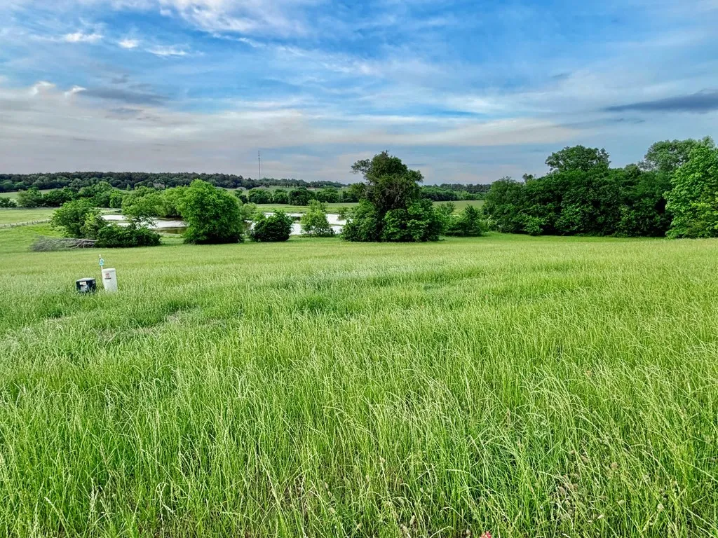 Unimproved Land For Sale in Henderson County , 42 Shore Crest Way, Athens, Texas 75752, 0, 0, Garage spaces, 0 Sqft, built in 0, mls#21366568, Real Estate Agent in Athens, Homes For Sale in Henderson county, Homes For Sale in Athens, Realtor in Athens Texas, Real Estate Brokerage Independent Realty Texas, Luminita Cordes Realtor