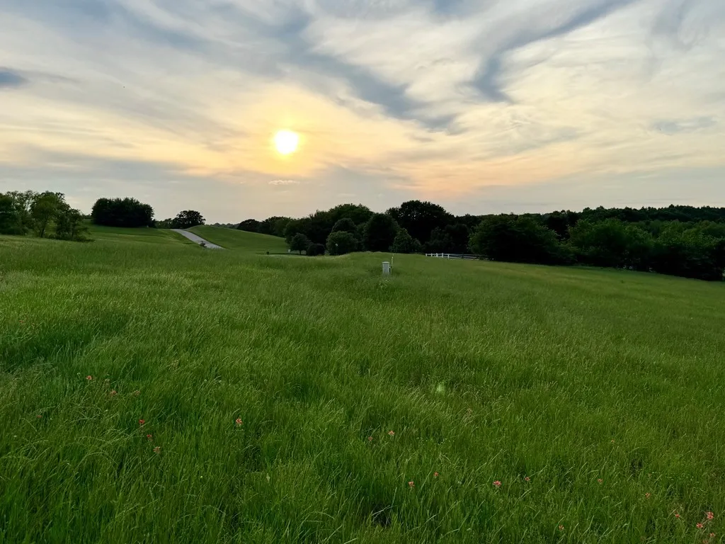 Unimproved Land For Sale in Henderson County , 42 Shore Crest Way, Athens, Texas 75752, 0, 0, Garage spaces, 0 Sqft, built in 0, mls#21366568, Real Estate Agent in Athens, Homes For Sale in Henderson county, Homes For Sale in Athens, Realtor in Athens Texas, Real Estate Brokerage Independent Realty Texas, Luminita Cordes Realtor