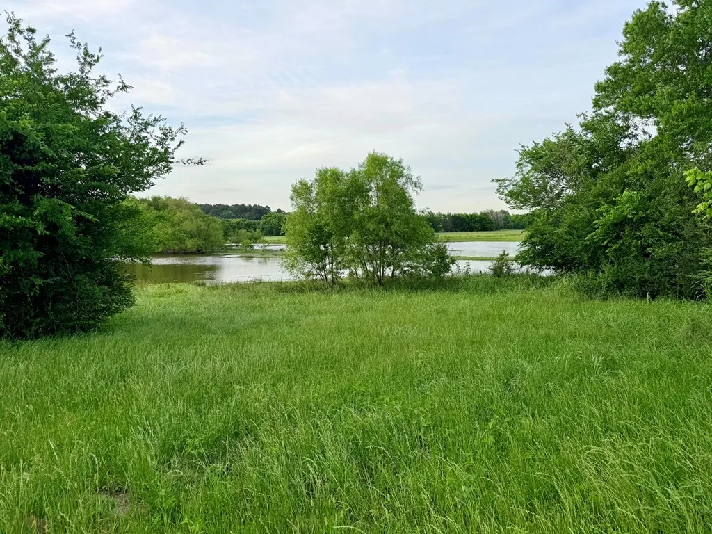 Unimproved Land For Sale in Henderson County , 42 Shore Crest Way, Athens, Texas 75752, 0, 0, Garage spaces, 0 Sqft, built in 0, mls#21366568, Real Estate Agent in Athens, Homes For Sale in Henderson county, Homes For Sale in Athens, Realtor in Athens Texas, Real Estate Brokerage Independent Realty Texas, Luminita Cordes Realtor