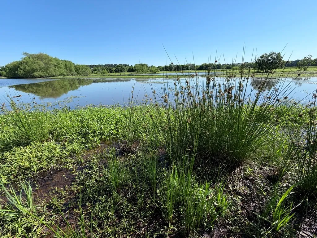 Unimproved Land For Sale in Henderson County , 42 Shore Crest Way, Athens, Texas 75752, 0, 0, Garage spaces, 0 Sqft, built in 0, mls#21366568, Real Estate Agent in Athens, Homes For Sale in Henderson county, Homes For Sale in Athens, Realtor in Athens Texas, Real Estate Brokerage Independent Realty Texas, Luminita Cordes Realtor