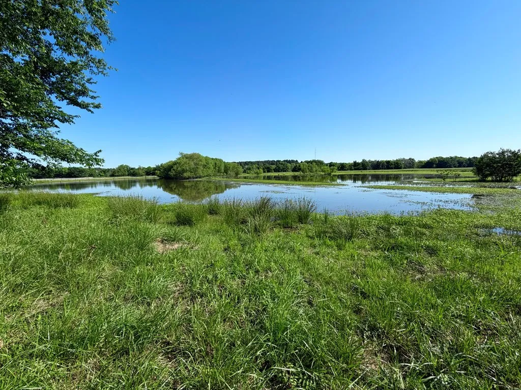 Unimproved Land For Sale in Henderson County , 42 Shore Crest Way, Athens, Texas 75752, 0, 0, Garage spaces, 0 Sqft, built in 0, mls#21366568, Real Estate Agent in Athens, Homes For Sale in Henderson county, Homes For Sale in Athens, Realtor in Athens Texas, Real Estate Brokerage Independent Realty Texas, Luminita Cordes Realtor