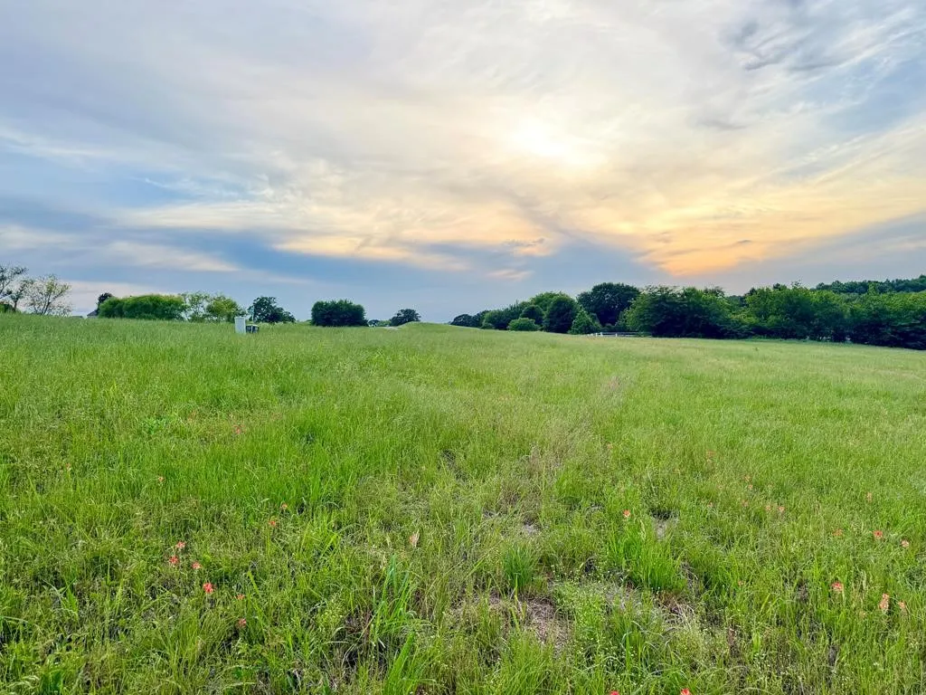 Unimproved Land For Sale in Henderson County , 42 Shore Crest Way, Athens, Texas 75752, 0, 0, Garage spaces, 0 Sqft, built in 0, mls#21366568, Real Estate Agent in Athens, Homes For Sale in Henderson county, Homes For Sale in Athens, Realtor in Athens Texas, Real Estate Brokerage Independent Realty Texas, Luminita Cordes Realtor