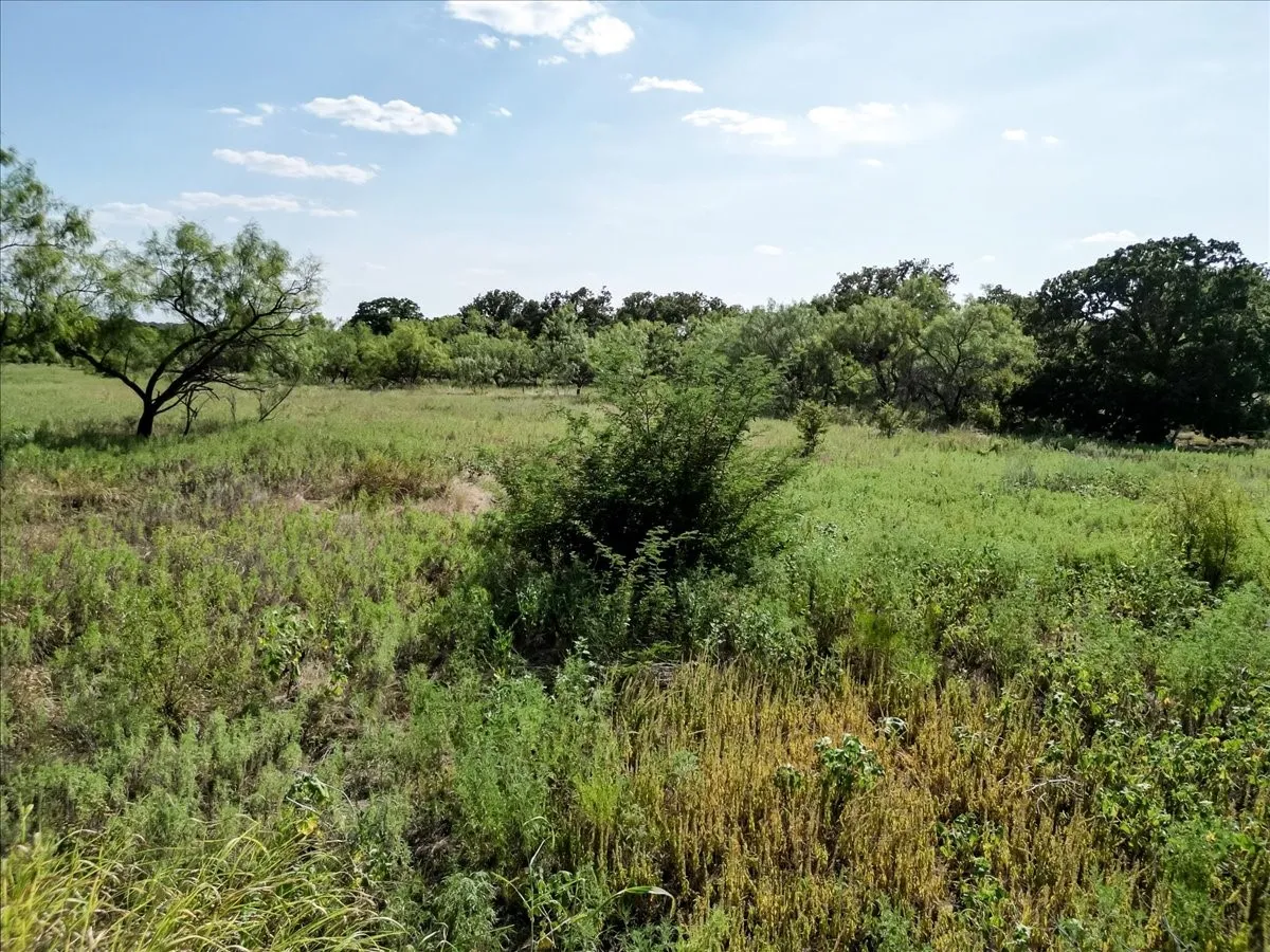 Ranch For Sale in Jack County , 496 Acres Nash Road, Jacksboro, Texas 76458, 0, 0, Garage spaces, 0 Sqft, built in 0, Price $2,483,950, mls#21352534, Real Estate Agent in Jacksboro, Homes For Sale in Jack county, Homes For Sale in Jacksboro, Realtor in Jacksboro Texas, Real Estate Brokerage Independent Realty Texas, Luminita Cordes Realtor