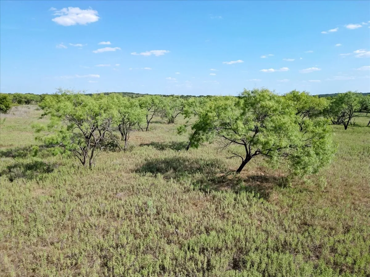 Ranch For Sale in Jack County , 496 Acres Nash Road, Jacksboro, Texas 76458, 0, 0, Garage spaces, 0 Sqft, built in 0, Price $2,483,950, mls#21352534, Real Estate Agent in Jacksboro, Homes For Sale in Jack county, Homes For Sale in Jacksboro, Realtor in Jacksboro Texas, Real Estate Brokerage Independent Realty Texas, Luminita Cordes Realtor