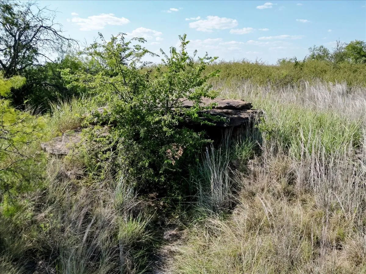 Ranch For Sale in Jack County , 496 Acres Nash Road, Jacksboro, Texas 76458, 0, 0, Garage spaces, 0 Sqft, built in 0, Price $2,483,950, mls#21352534, Real Estate Agent in Jacksboro, Homes For Sale in Jack county, Homes For Sale in Jacksboro, Realtor in Jacksboro Texas, Real Estate Brokerage Independent Realty Texas, Luminita Cordes Realtor