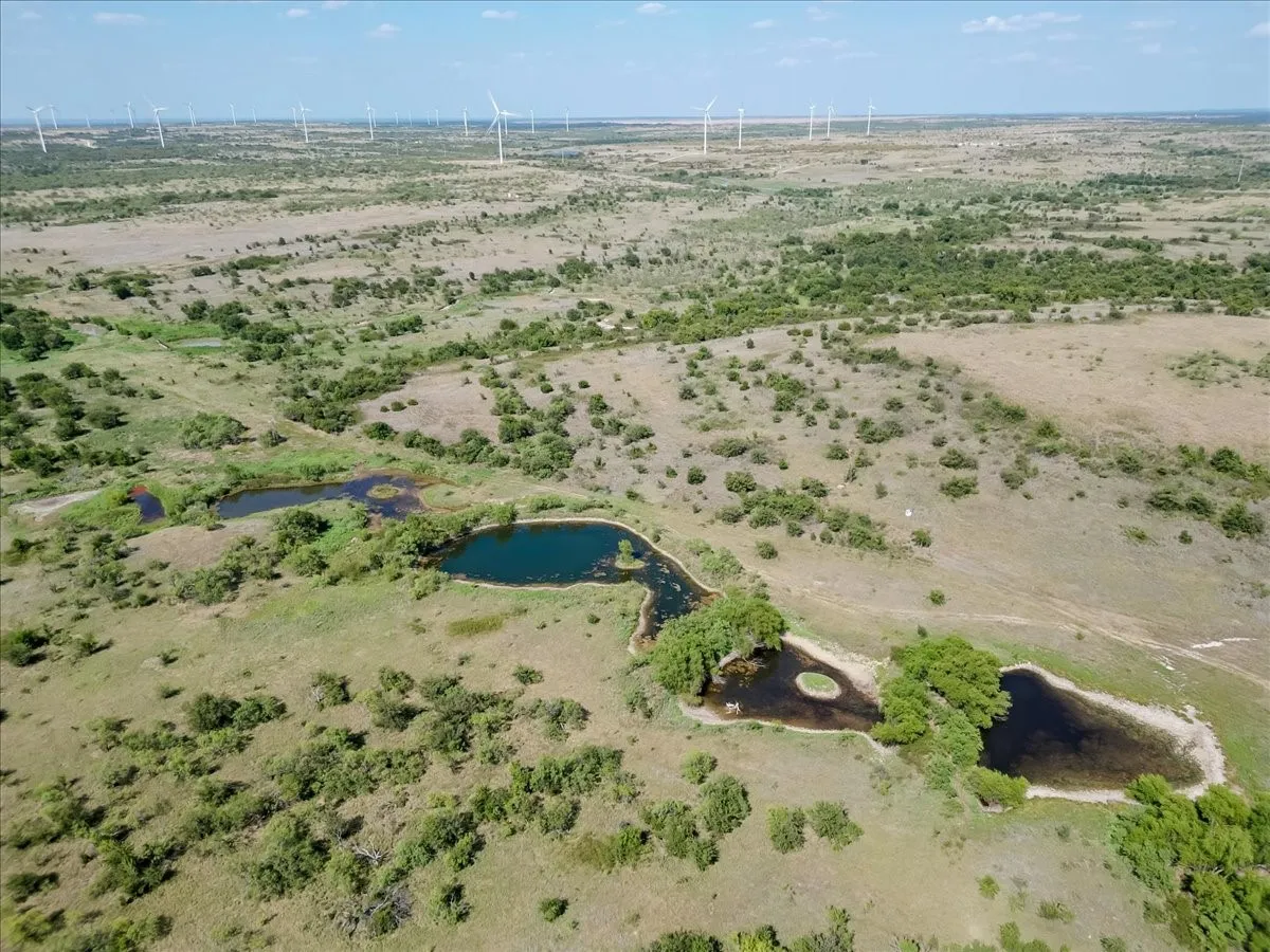 Ranch For Sale in Jack County , 496 Acres Nash Road, Jacksboro, Texas 76458, 0, 0, Garage spaces, 0 Sqft, built in 0, Price $2,483,950, mls#21352534, Real Estate Agent in Jacksboro, Homes For Sale in Jack county, Homes For Sale in Jacksboro, Realtor in Jacksboro Texas, Real Estate Brokerage Independent Realty Texas, Luminita Cordes Realtor