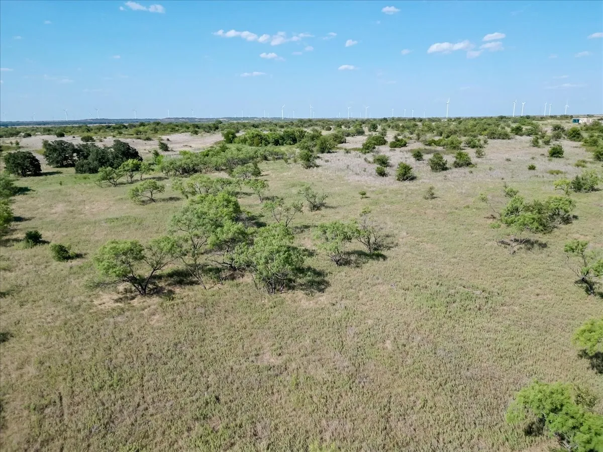 Ranch For Sale in Jack County , 496 Acres Nash Road, Jacksboro, Texas 76458, 0, 0, Garage spaces, 0 Sqft, built in 0, Price $2,483,950, mls#21352534, Real Estate Agent in Jacksboro, Homes For Sale in Jack county, Homes For Sale in Jacksboro, Realtor in Jacksboro Texas, Real Estate Brokerage Independent Realty Texas, Luminita Cordes Realtor