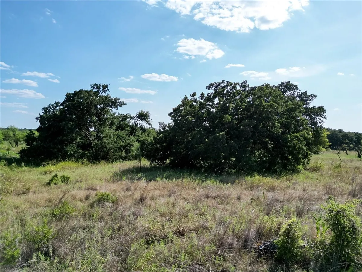 Ranch For Sale in Jack County , 496 Acres Nash Road, Jacksboro, Texas 76458, 0, 0, Garage spaces, 0 Sqft, built in 0, Price $2,483,950, mls#21352534, Real Estate Agent in Jacksboro, Homes For Sale in Jack county, Homes For Sale in Jacksboro, Realtor in Jacksboro Texas, Real Estate Brokerage Independent Realty Texas, Luminita Cordes Realtor