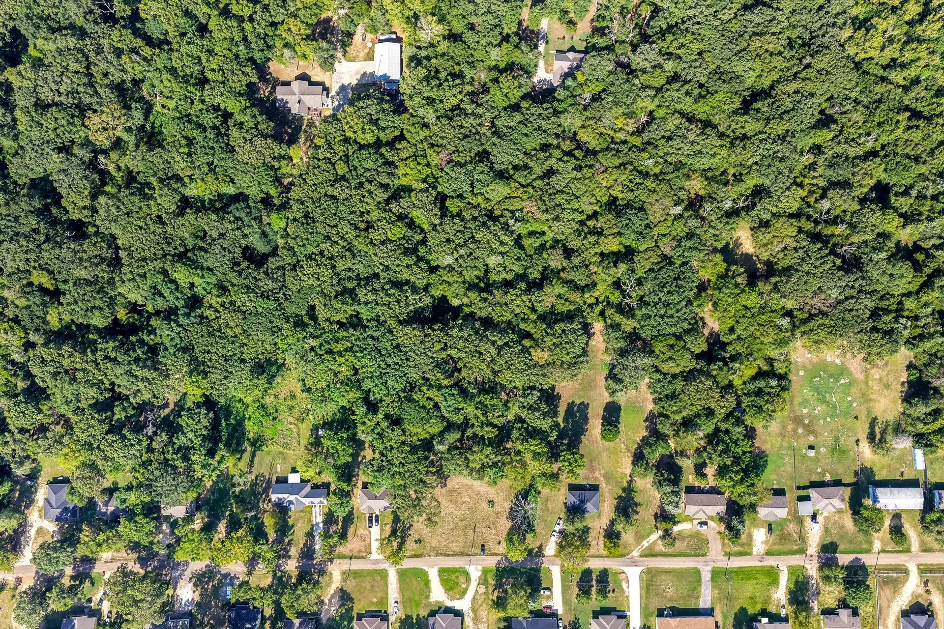 Unimproved Land For Sale in Titus County , Lot 40 County Road 4231, Mt Pleasant, Texas 75455, 0, 0, Garage spaces, 0 Sqft, built in 0, Price $39,900, mls#21366614, Real Estate Agent in Mt Pleasant, Homes For Sale in Titus county, Homes For Sale in Mt Pleasant, Realtor in Mt Pleasant Texas, Real Estate Brokerage Independent Realty Texas, Luminita Cordes Realtor