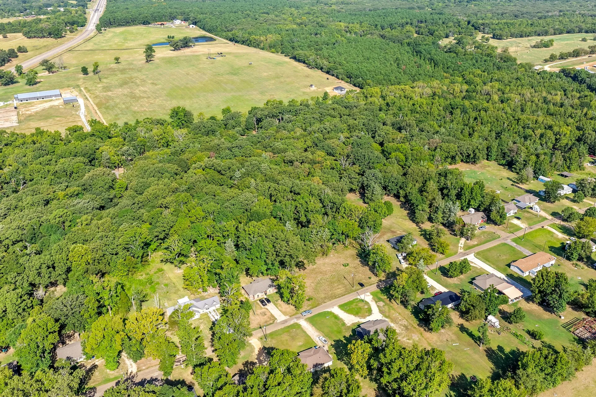 Unimproved Land For Sale in Titus County , Lot 40 County Road 4231, Mt Pleasant, Texas 75455, 0, 0, Garage spaces, 0 Sqft, built in 0, Price $39,900, mls#21366614, Real Estate Agent in Mt Pleasant, Homes For Sale in Titus county, Homes For Sale in Mt Pleasant, Realtor in Mt Pleasant Texas, Real Estate Brokerage Independent Realty Texas, Luminita Cordes Realtor