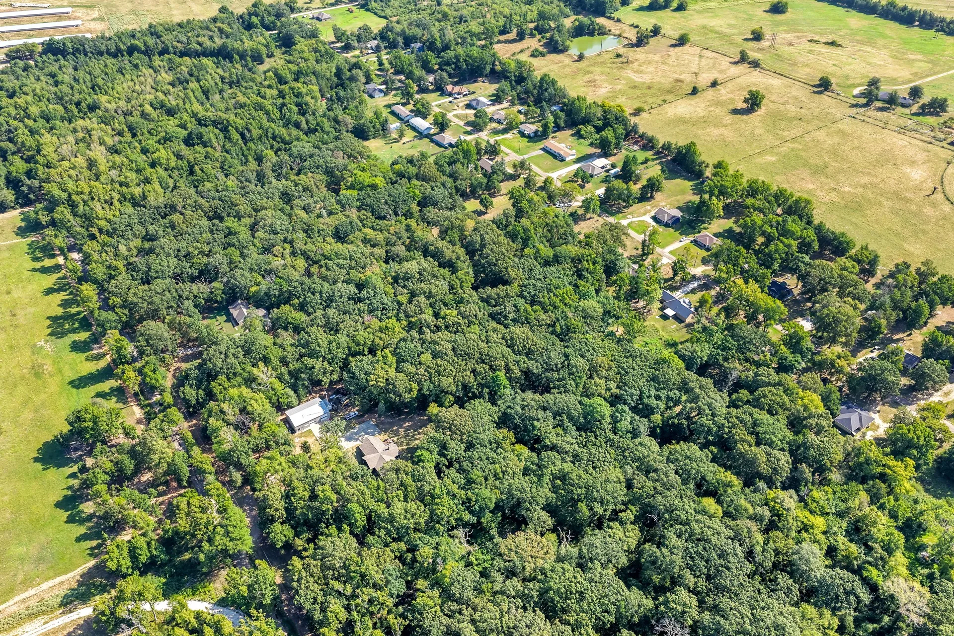 Unimproved Land For Sale in Titus County , Lot 40 County Road 4231, Mt Pleasant, Texas 75455, 0, 0, Garage spaces, 0 Sqft, built in 0, Price $39,900, mls#21366614, Real Estate Agent in Mt Pleasant, Homes For Sale in Titus county, Homes For Sale in Mt Pleasant, Realtor in Mt Pleasant Texas, Real Estate Brokerage Independent Realty Texas, Luminita Cordes Realtor